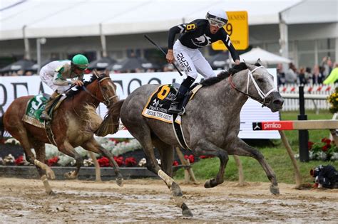 preakness horse stats 2024 Preakness Stakes post positions