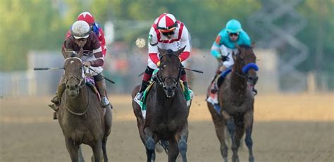 preakness payouts results 00 across the board