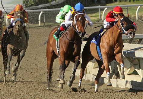 preakness stakes lineup Posted Wed, May 17, 2023 at 5:12 pm ET