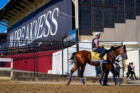 preakness stakes odds 2017 2017 Kentucky Derby Purse (Approx