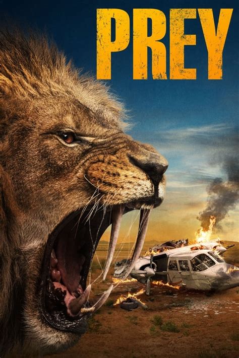 predator prey online subtitrat  2017)