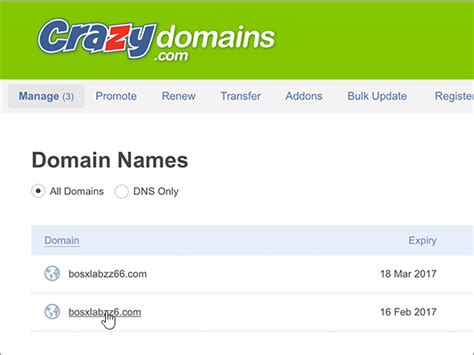 premium dns crazy domains ; Enter the applicable information in the remaining boxes, and then click Save Record to save the changes