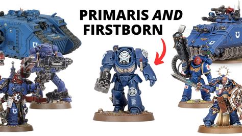 primaris construction  Primaris Construction