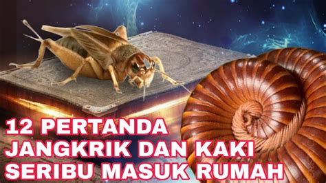 primbon jawa jangkrik masuk rumah  1