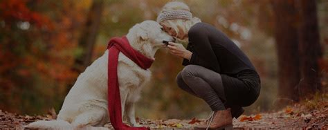 private dog minding on gold coast  Pet conditions: Dogs must be kept on a leash in the campgrounds