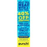 punch software discount code  $100