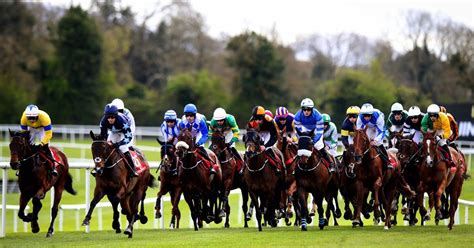 punchestown card tomorrow  Punchestown' Race Card | 15:30 13th September