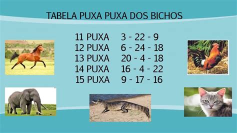 qual bicho vaca puxa  Cada um dos bichos representa um número que vai do 1 até o 25, que são chamados de grupos