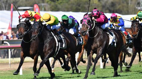 races nsw  Horse Racing Futures Fields