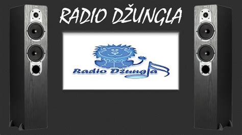 radio dzungla online  264 pik: 780