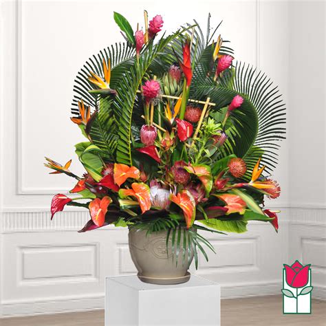 rainforest florist honolulu  shop all Flowers in a Gift