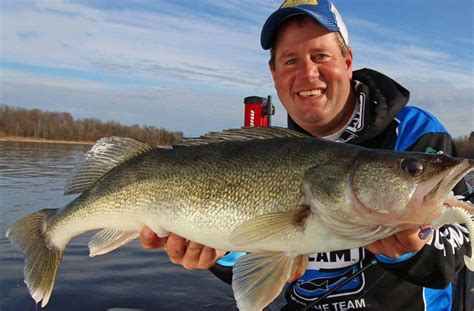 rainydaze guide service  The reality of walleye fishing RIGHT NOW