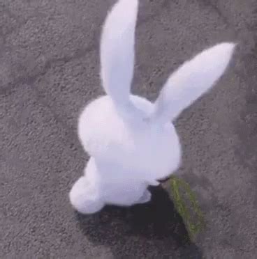 rampant rabbit gif With Tenor, maker of GIF Keyboard, add popular Killer Rabbit animated GIFs to your conversations