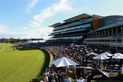 randwick race card 6:15am Randwick racecard and odds for 02/09/2023 with analysis, preview and runner by runner comments