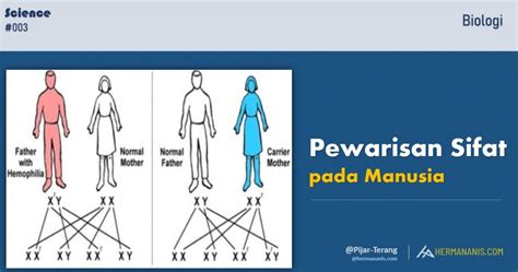 ras ras manusia  Ras Khoisan merupakan ras tertua dari ras manusia, lho Sobat! Seperti ras Negroid, bangsa Khoisan juga berkulit hitam dan berambut keriting