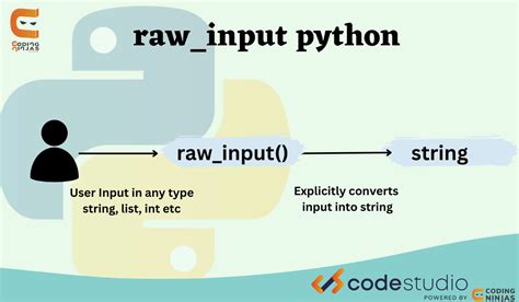 raw input python  For me on python 3