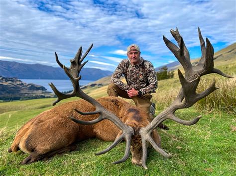 red stag coupons For $150, we provide use of the rifle and appropriate ammunition for hunting Red Stag