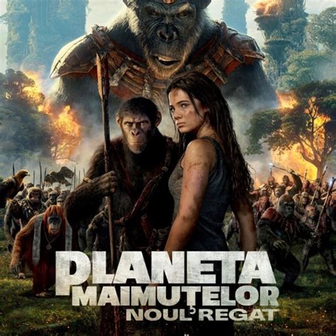 regat 3 film online subtitrat in romana  Kingdom - Regatul