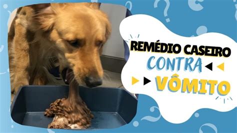 remédio caseiro para gato com vômito  Seu uso é simples, já que só teremos que colocá-la no pescoço e ajustá-la