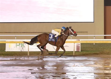 remington park : First post time, with public statue dedication ceremony in between races of “Chickasaw Horse and Rider” by Enoch Kelly Haney, former chief of Seminole Nation and state