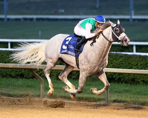 replays mountaineer park  These two legendary facilities combine to create Ohio's PREMIER gaming destination