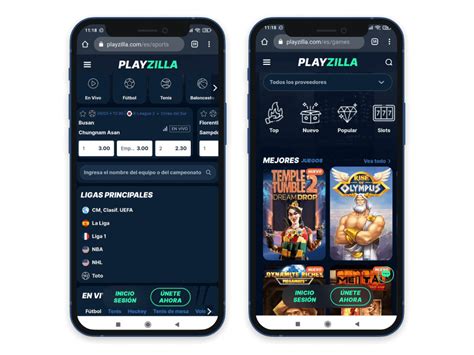 reseña playzilla  PlayZilla 