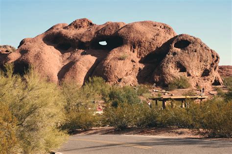 resorts near phoenix zoo The nightly event also features food, games, and activities, such as an ice skating rink and a petting zoo