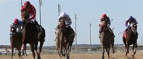 retama park racing schedule 2023 Retama Park Race Track, Selma, Texas