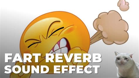 reverb fart mp3  1