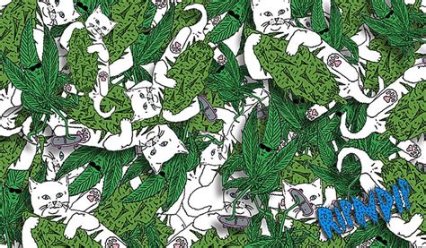 ripndip discount codes  Expires