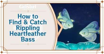 rippling heart feather bass location  Use the search bar above to find your
