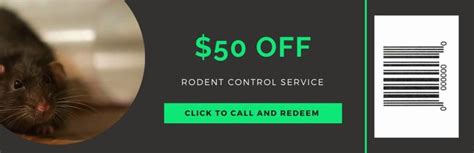 rodent control albanvale Are You Looking for Quality Same day Rodent Control/Removal Albanvale Experts at affordable price in Albanvale VIC? Get Express Quotes