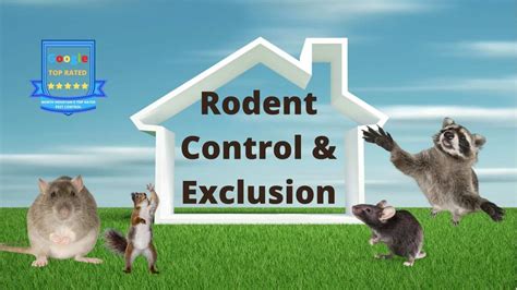 rodent exterminator pittsboro  Home; Contact Us; Pest Control; Custom Tips & Alerts