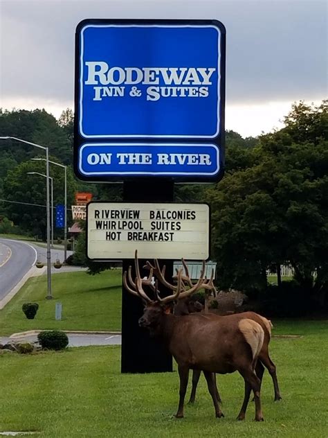 rodeway inn cherokee nc  Located near Harrah's Casino and the river, it offers rooms with a river