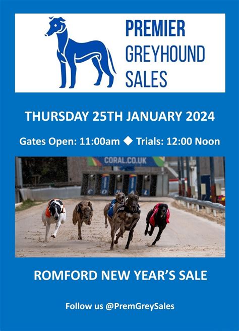 romford greyhound cards  November 2023