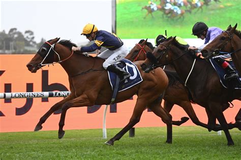 rosehill gold cup horses au for one of the key races at Rosehill this afternoon, the Rosehill Gold Cup (2000m)