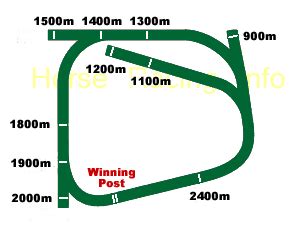 rosehill track bias 9%