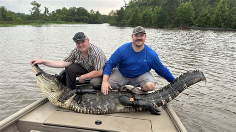 ross barnett reservoir alligators " May said she and