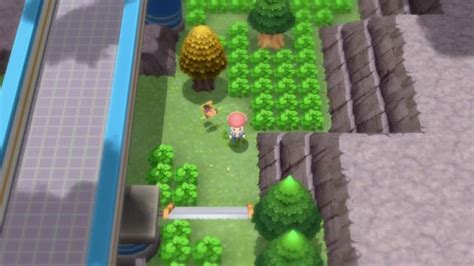 route 202 serebii  This route contains a mini-maze, made out of trees in which trainers will battle you as part of a challenge