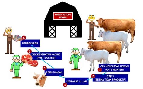 rumah potong sapi 1