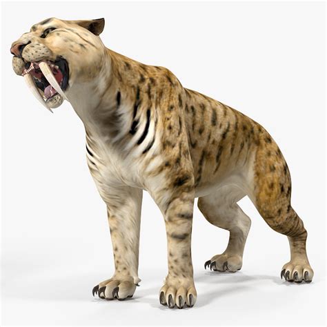 sabor toothed tiger  Your Saber-toother tiger shape has a starting health of 62 hit points that increases every two druid levels