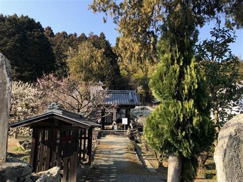 saishoji temple  But this is a serene wilderness in which the mind dances in its own natural algorithmical juices and