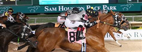 sam houston live racing  41,631 likes · 125 talking about this