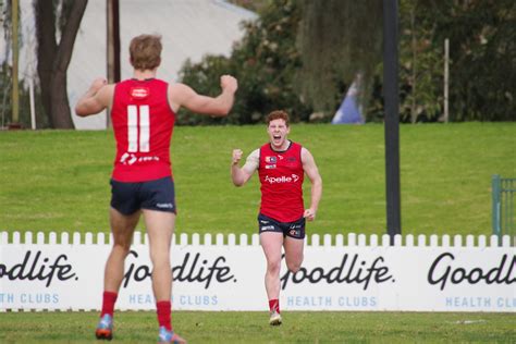 sanfl replays  F: Erika Sporn (26), Emily Newton (21)The Novita SANFL Wheelchair Football League and Reserves Competition involves four SANFL Clubs: Central District, Norwood, Sturt and Woodville-West Torrens