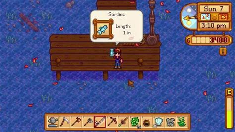 sardine stardew valley  I'm up to the 23rd of Summer Year 1