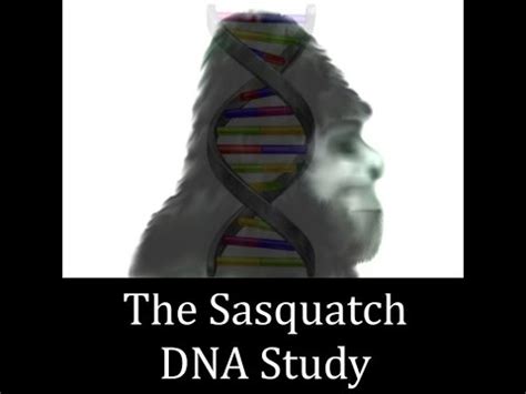 sasquatch dna prohormone review Dimethabolin Ingredients 2a,17a-dimethyl-5a-androst-17b-ol-3,3-azineAn alternate nomenclature for Dimethazine, the other one being D-Zine (17b-hydroxy-2a,17b-dimethyl-5a-androstan-3-one-azine)