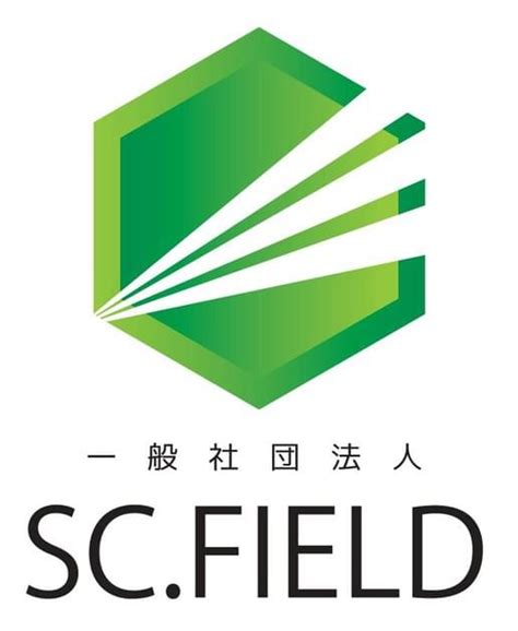 sc field star srl  Afla date de contact, cifra de