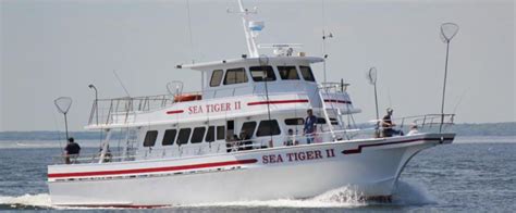 sea tiger ii reviews  Bottom fishing is our specialty, targeting Sea Bass, Ling, Cod, Pollock, Porgies, Flounder, Blackfish and Fluke depending on