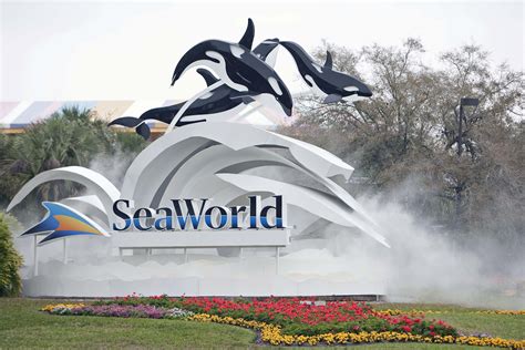 seaworld in december Accounting questions and answers