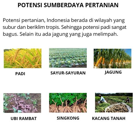 sebutkan hasil pertanian negara kamboja  Indonesia dan Laos